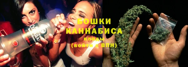 альфа пвп Бородино