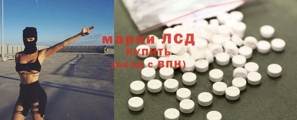 прущие грибы Бугульма
