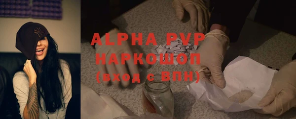 прущие грибы Бугульма