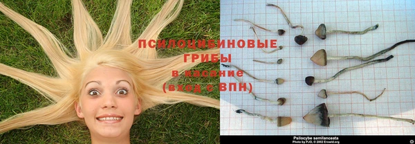 альфа пвп Бородино