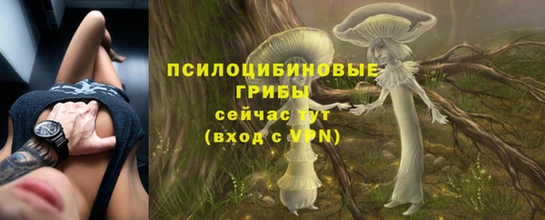 прущие грибы Бугульма
