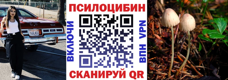Галлюциногенные грибы Cubensis Кирово-Чепецк